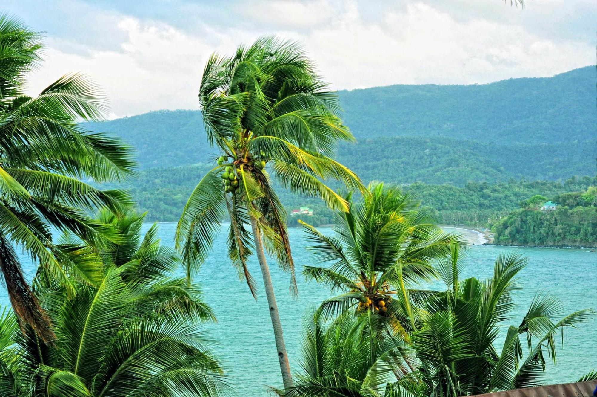 Villa De Pico Highland Beach Resort Puerto Galera Buitenkant foto